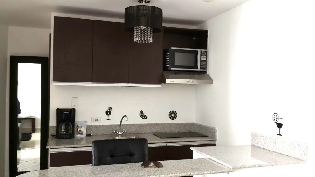 Apartamento en venta y alquiler en Playa Corona en San Carlos – 45 m², 1 recámaras – foto 5 de 8