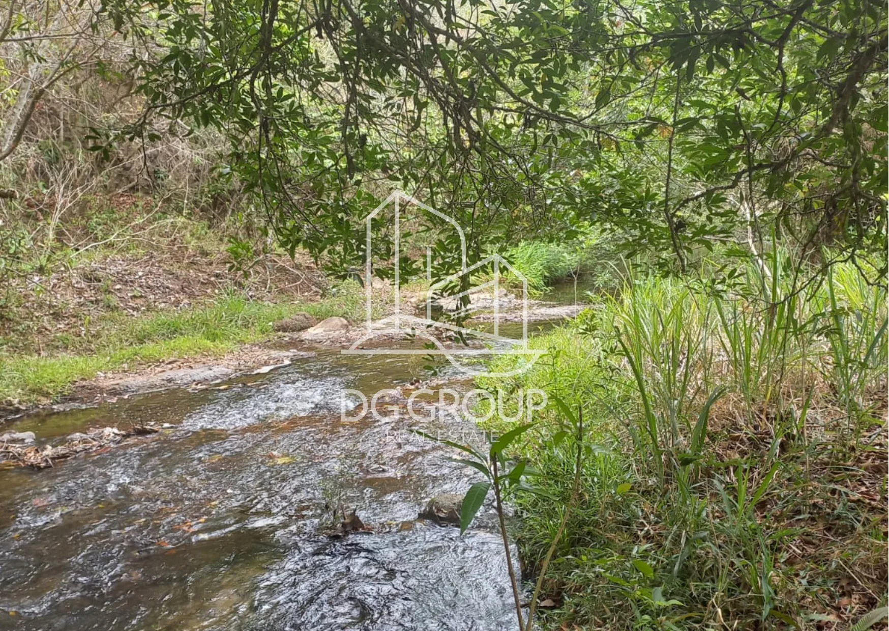 Island for Sale in the Archipiélago de las Perlas, Isla del Rey in Ciudad de Panamá – 520000 m² – photo 3 of 8